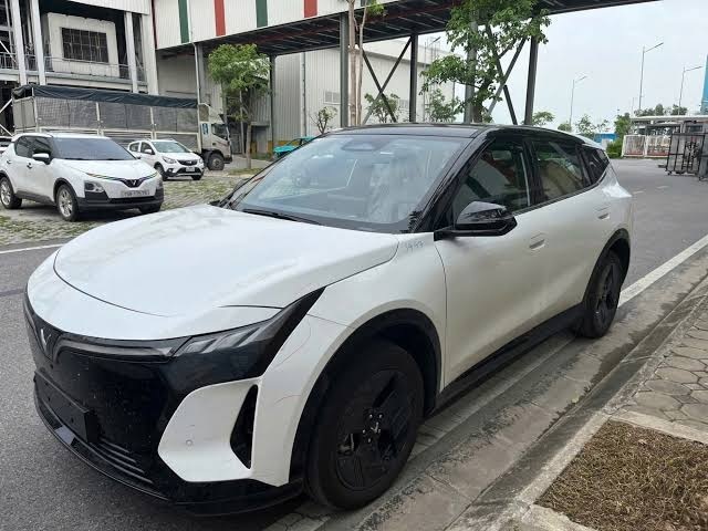 gia-lan-banh-vf8-all-new
